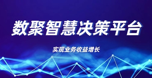 综合数据平台建设：优化决策，节约成本，推动增长与创新